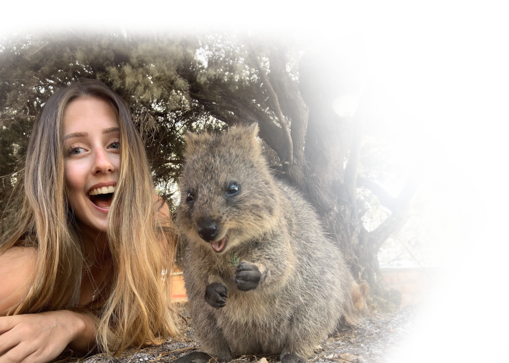 quokka selfie